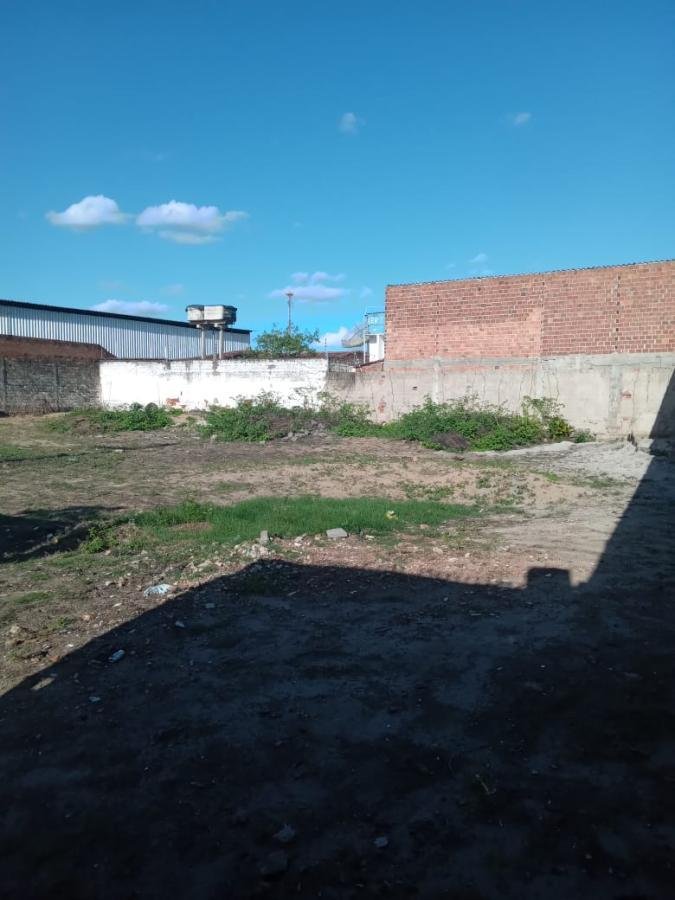 Terreno Comercial para Locação, Jardim Tropical — foto 5