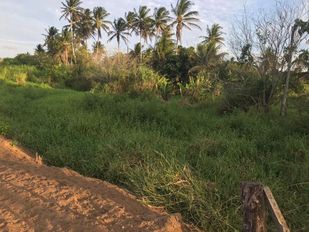 Terra para Venda, PE LEVE — foto 2