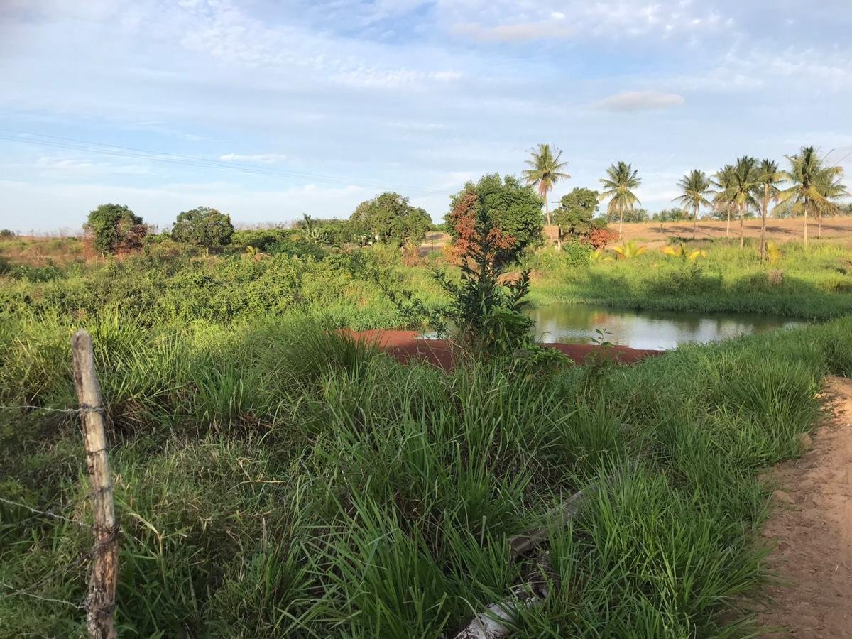Terra para Venda, PE LEVE — foto 1