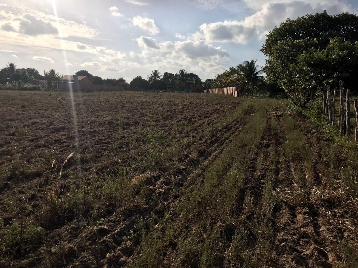 Chácara para Venda, Zona Rural — foto 4