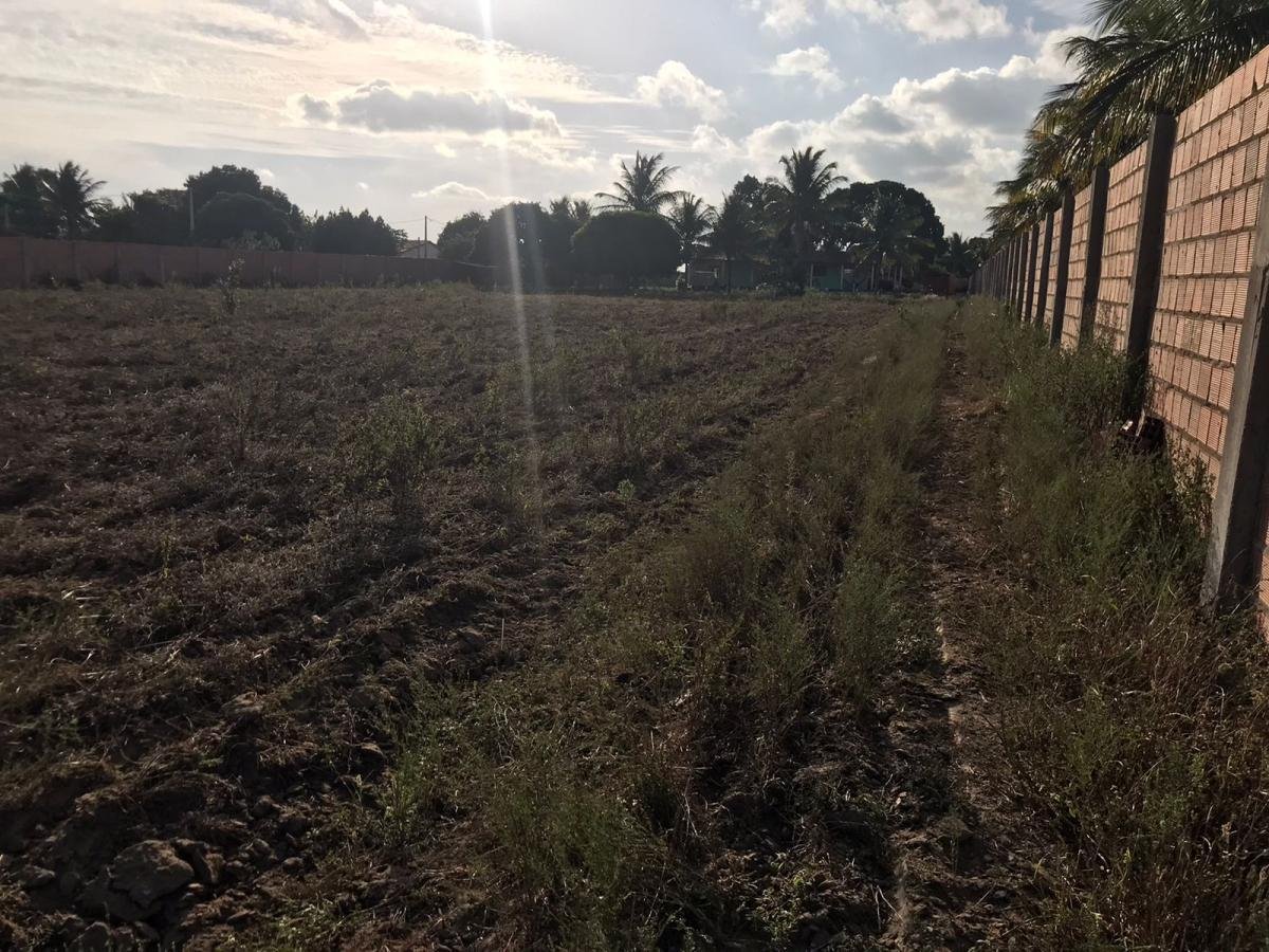 Chácara para Venda, Zona Rural — foto 3