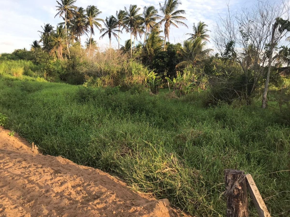 Terra para Venda, PE LEVE — foto 3