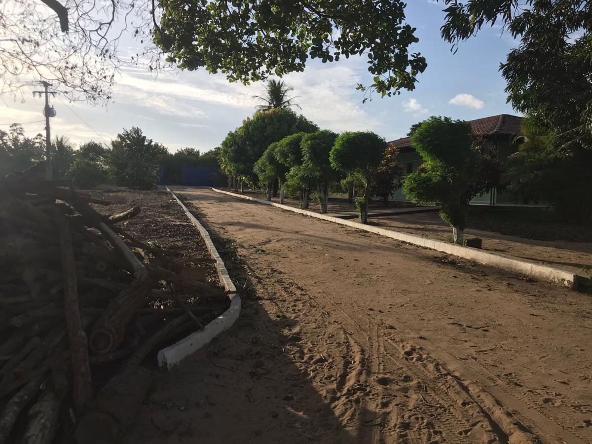 Chácara para Venda, Zona Rural — foto 4