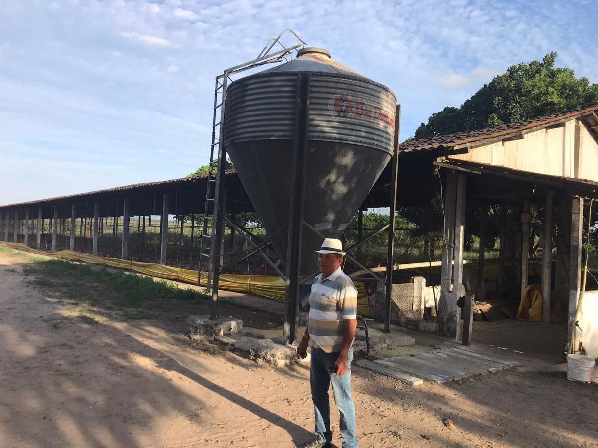 Chácara para Venda, Zona Rural — foto 2
