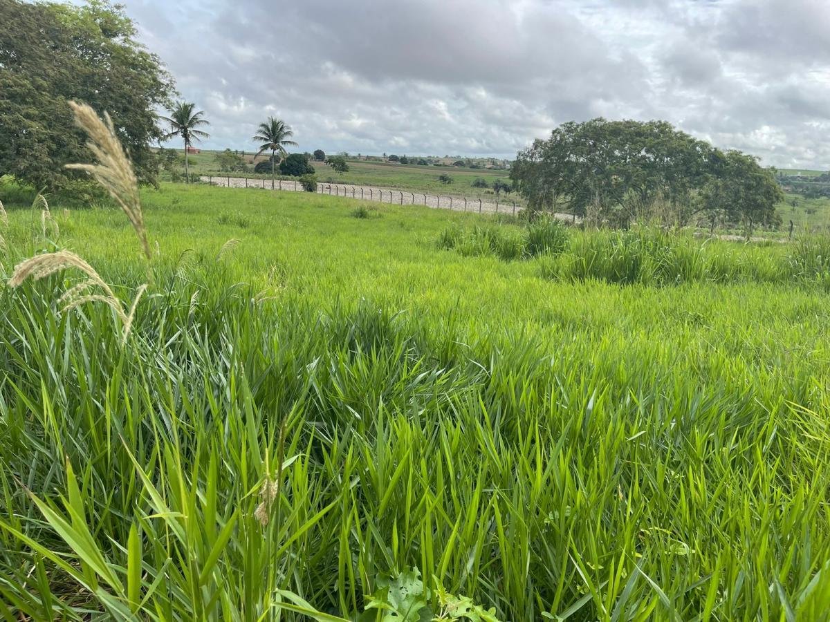 Chácara para Venda em Lagoa da Canoa, 5 suítes, 1 banheiro, 2 vagas — foto 3