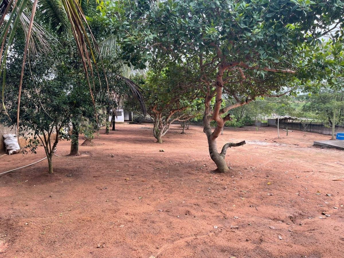 Chácara para Venda em Lagoa da Canoa, 5 suítes, 1 banheiro, 2 vagas — foto 4