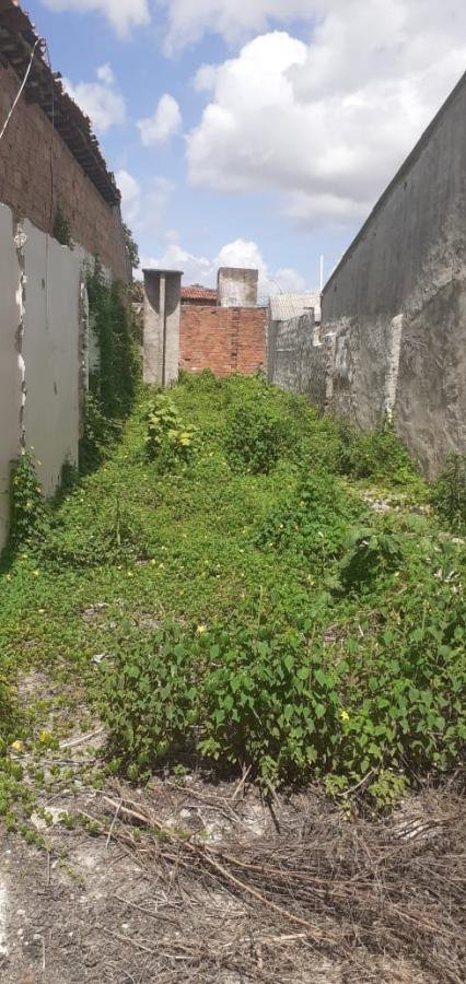 Terreno para Venda em Arapiraca, Ouro Preto — foto 3